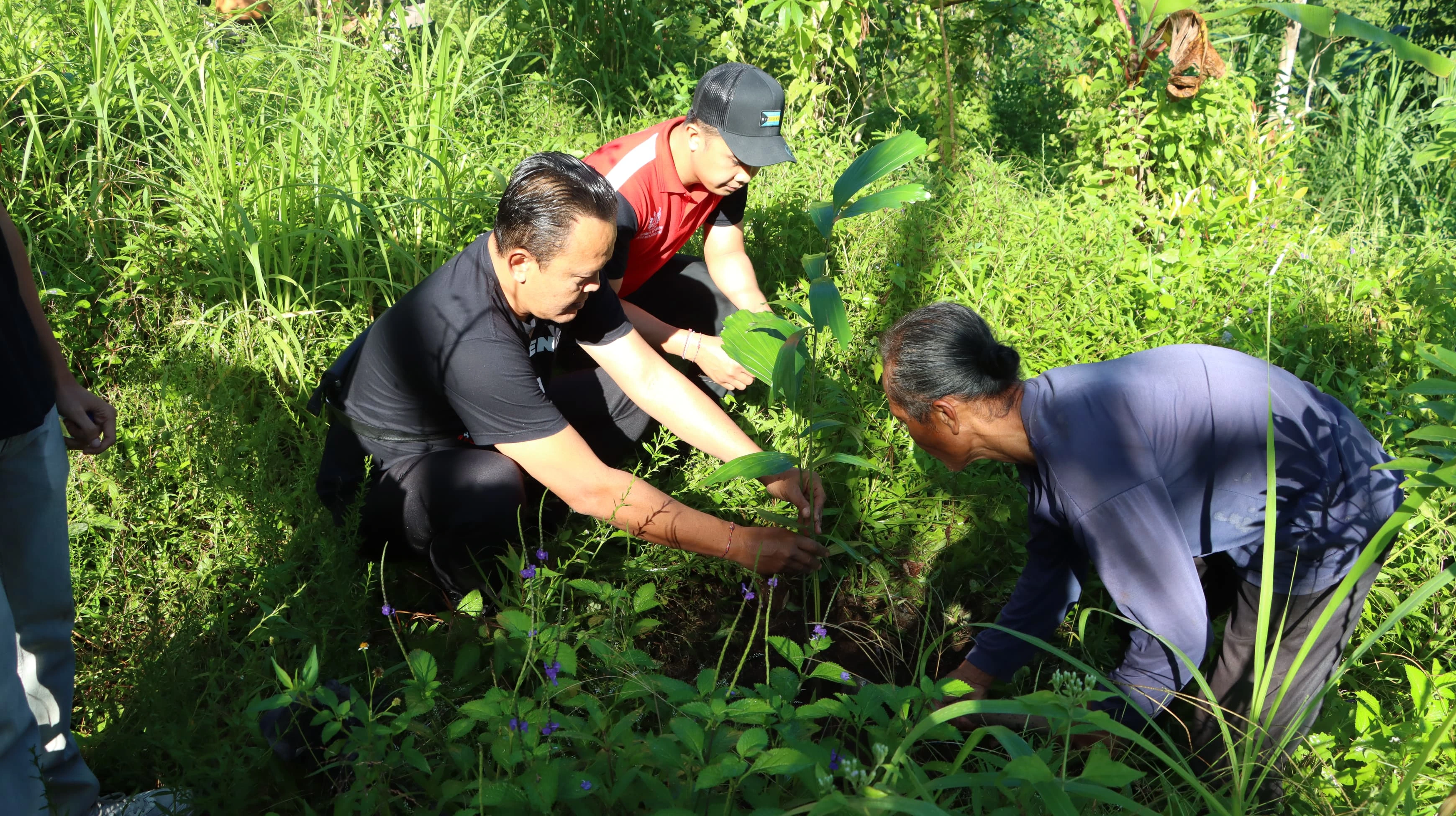 Perumda Tirta Hita Buleleng Dukung Gerakan Penanaman Pohon di Hutan Desa Sambangan